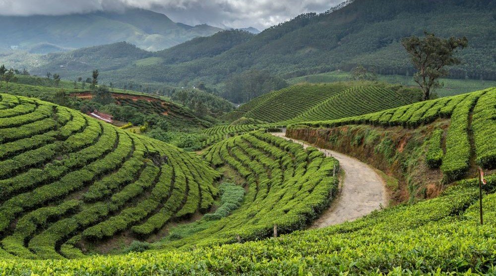 Kerala